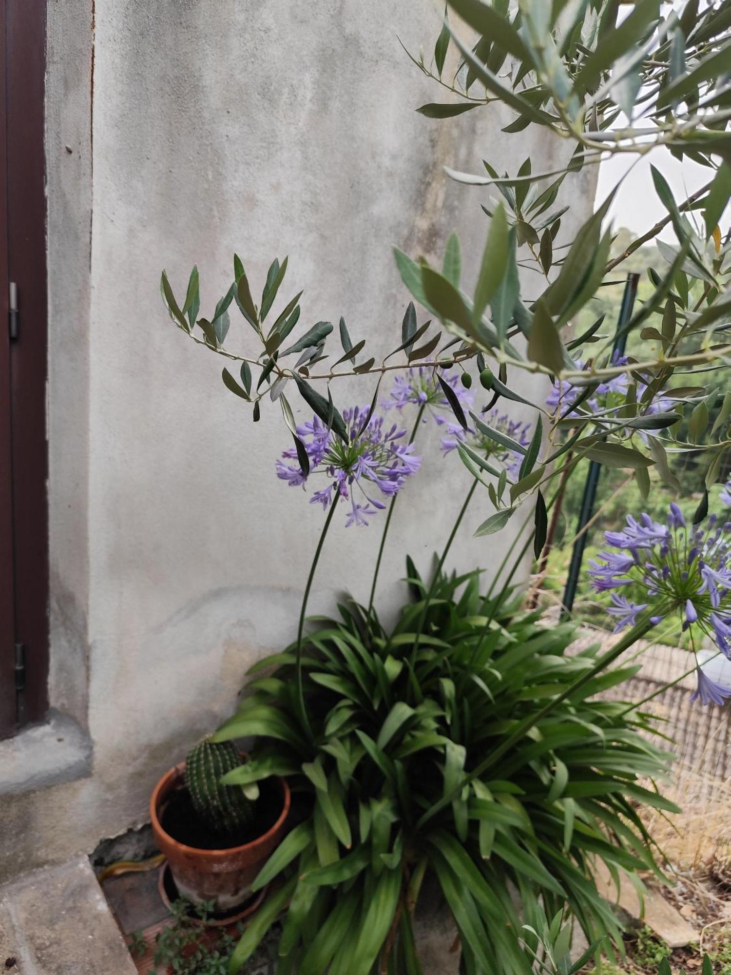 Casa In Antico Borgo Medievale A Tarano Ri, Via Giacomo Leopardi, 15 Villa Eksteriør billede